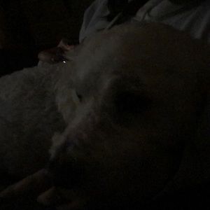 Meet your Posher, Cherrylyn